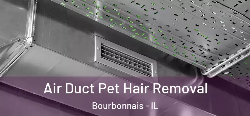 Air Duct Pet Hair Removal Bourbonnais - IL