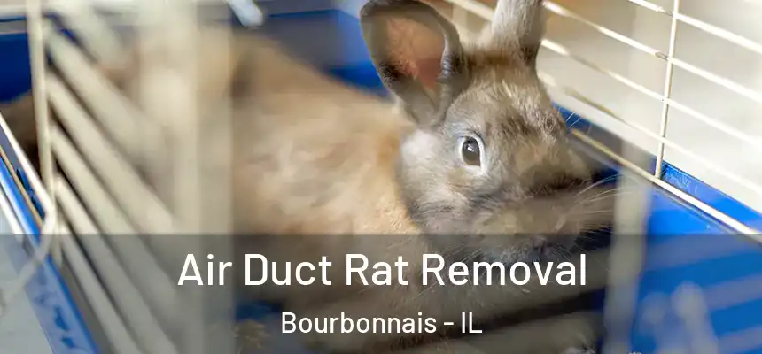  Air Duct Rat Removal Bourbonnais - IL