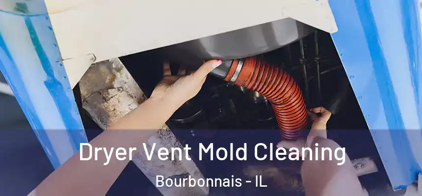 Dryer Vent Mold Cleaning Bourbonnais - IL