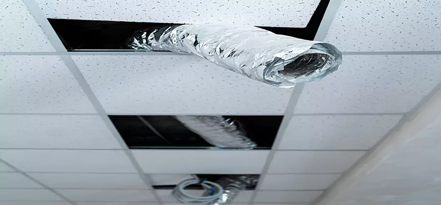 Our Air Duct Pet Hair Removal Services in Bourbonnais, IL