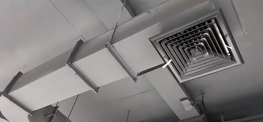 Restorative Allergy Relief Vent Cleaning – Coil, Blower & Housing Detail in Bourbonnais