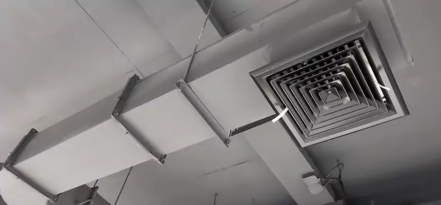 Our Pest Removal From Ducts Services in Bourbonnais, IL