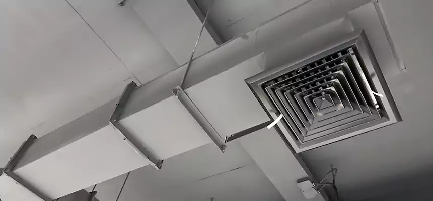 Our Rodent Droppings In Vents Services in Bourbonnais, IL