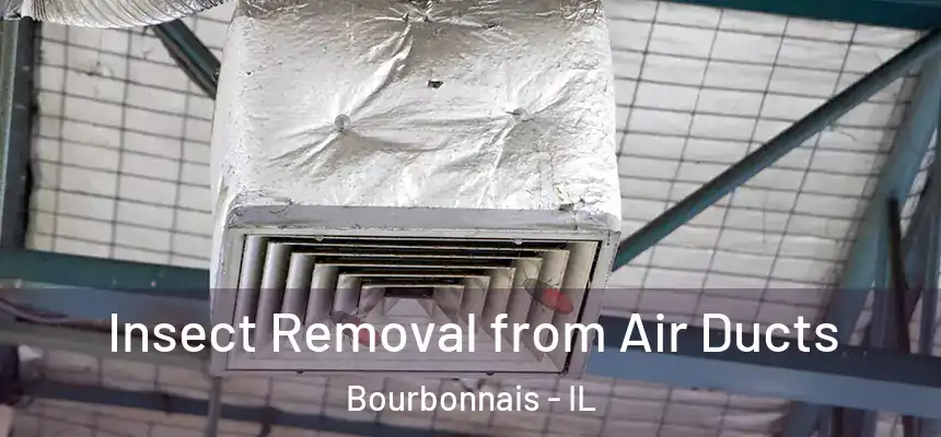 Insect Removal from Air Ducts Bourbonnais - IL