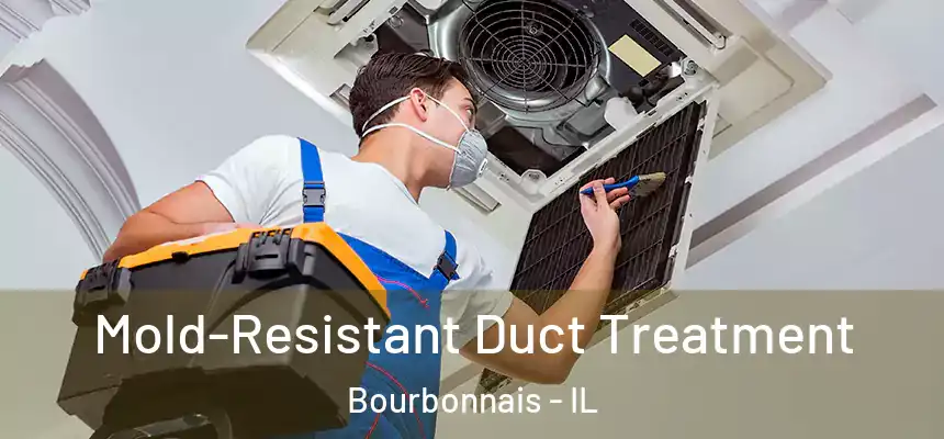  Mold-Resistant Duct Treatment Bourbonnais - IL