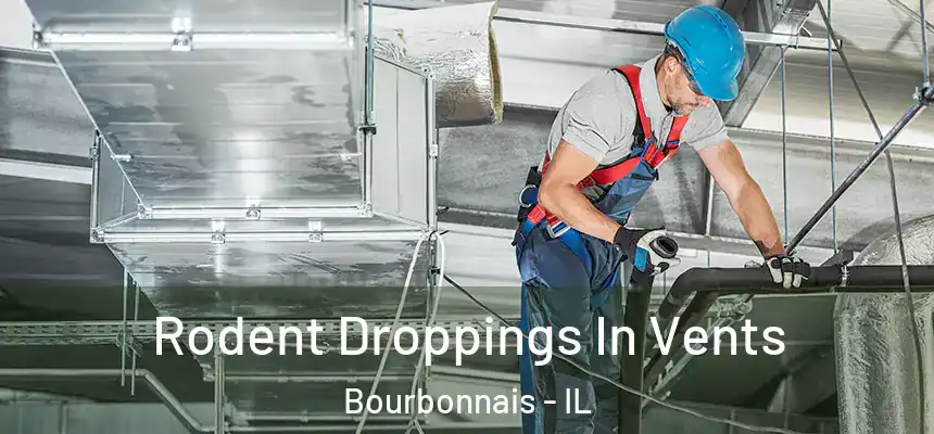Rodent Droppings In Vents Bourbonnais - IL