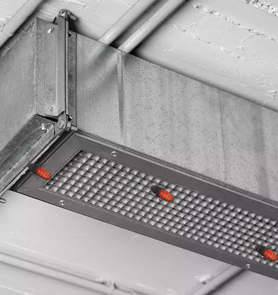 About Air Duct Cockroach Removal in Bourbonnais, IL