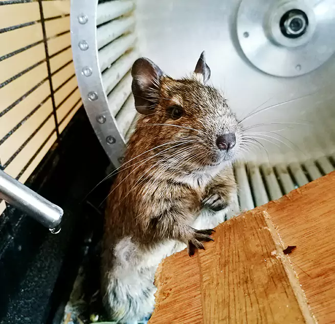 Why Homeowners & Businesses Trust Us Bourbonnais, IL?